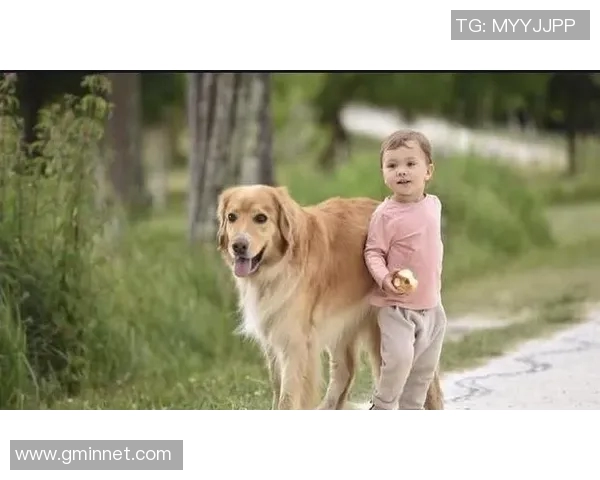 小孩轻松了解足球明星的精彩瞬间与成长故事视频合集