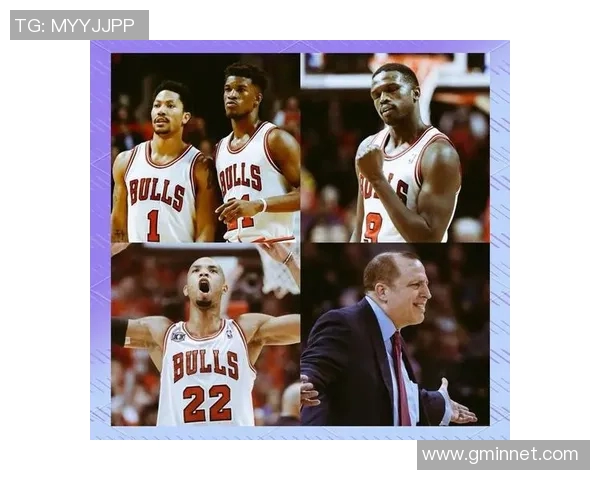 当家篮球明星的传奇之路与背后不为人知的奋斗故事